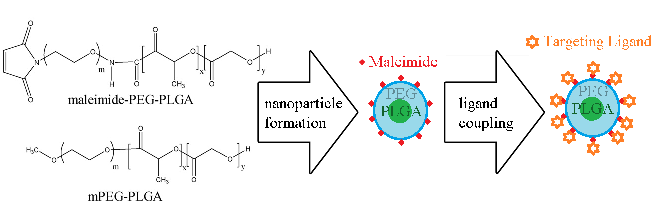 formation of micelles